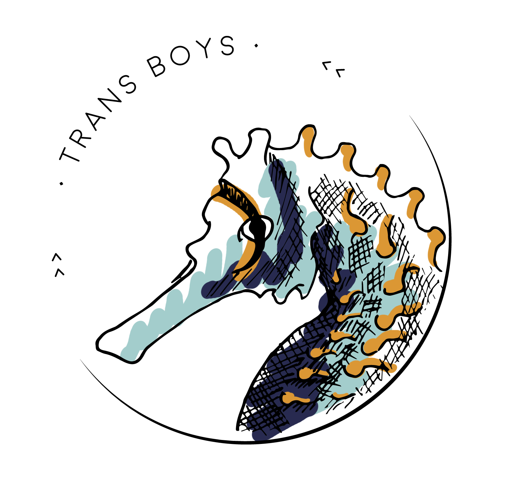 Logo Transboys