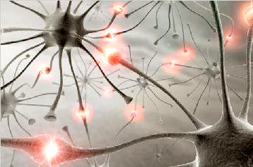 Cómo crea el cerebro recuerdos, los retiene y rememora? – Centro  Psicológico CPC